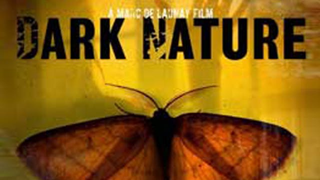Dark Nature