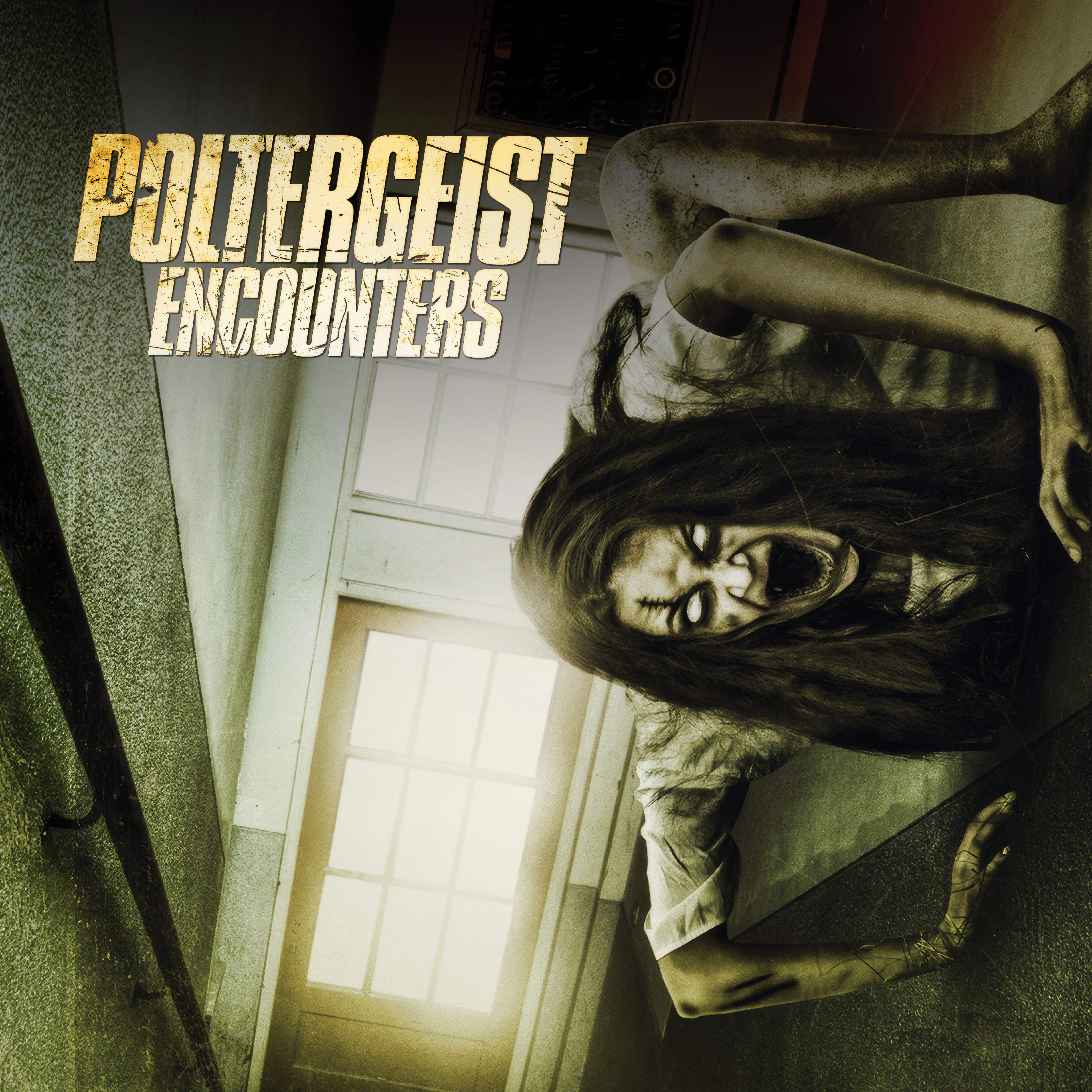 Poltergeist Encounters
