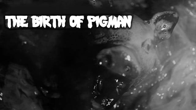 The Birth Of Pigman
