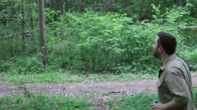 Lower Spirits: Skinwalkers