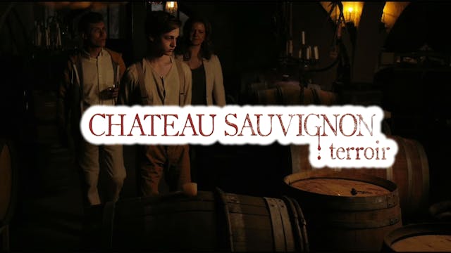 Chateau Sauvignon: terroir