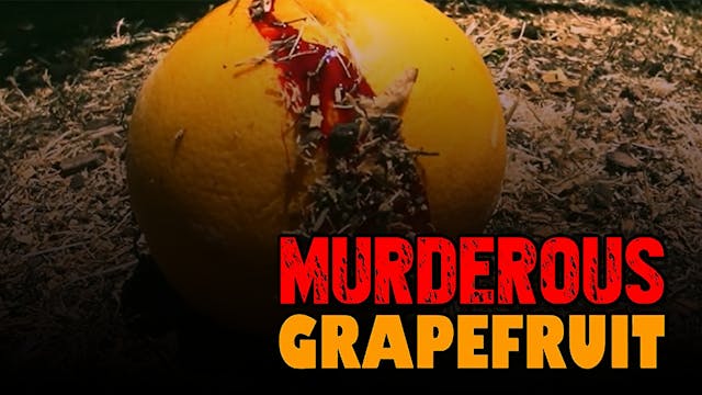 Murderous Grapefruit