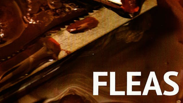 Fleas