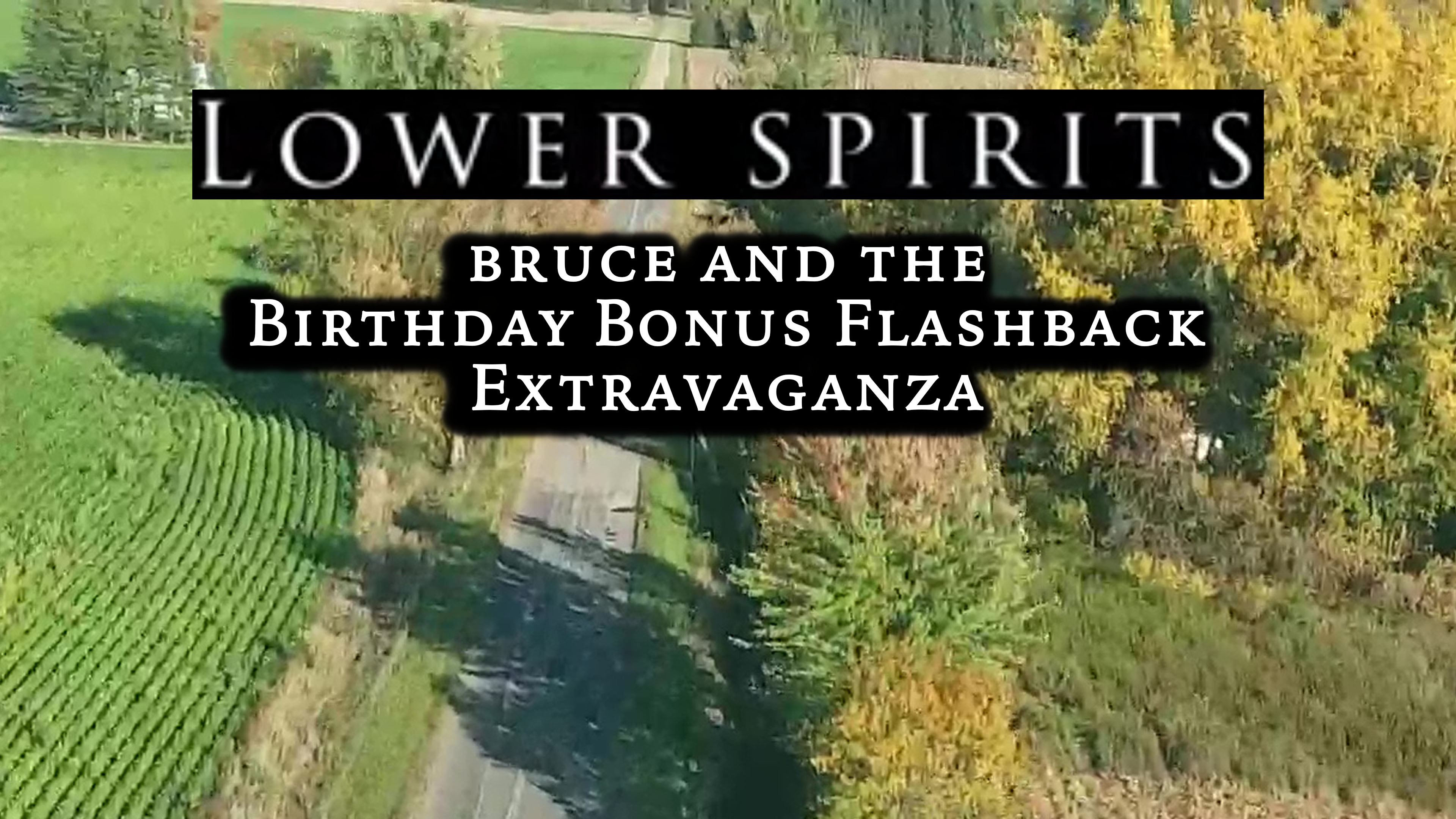 Lower Spirits: Bruce and the Birthday Bonus Flashback  Extravaganza