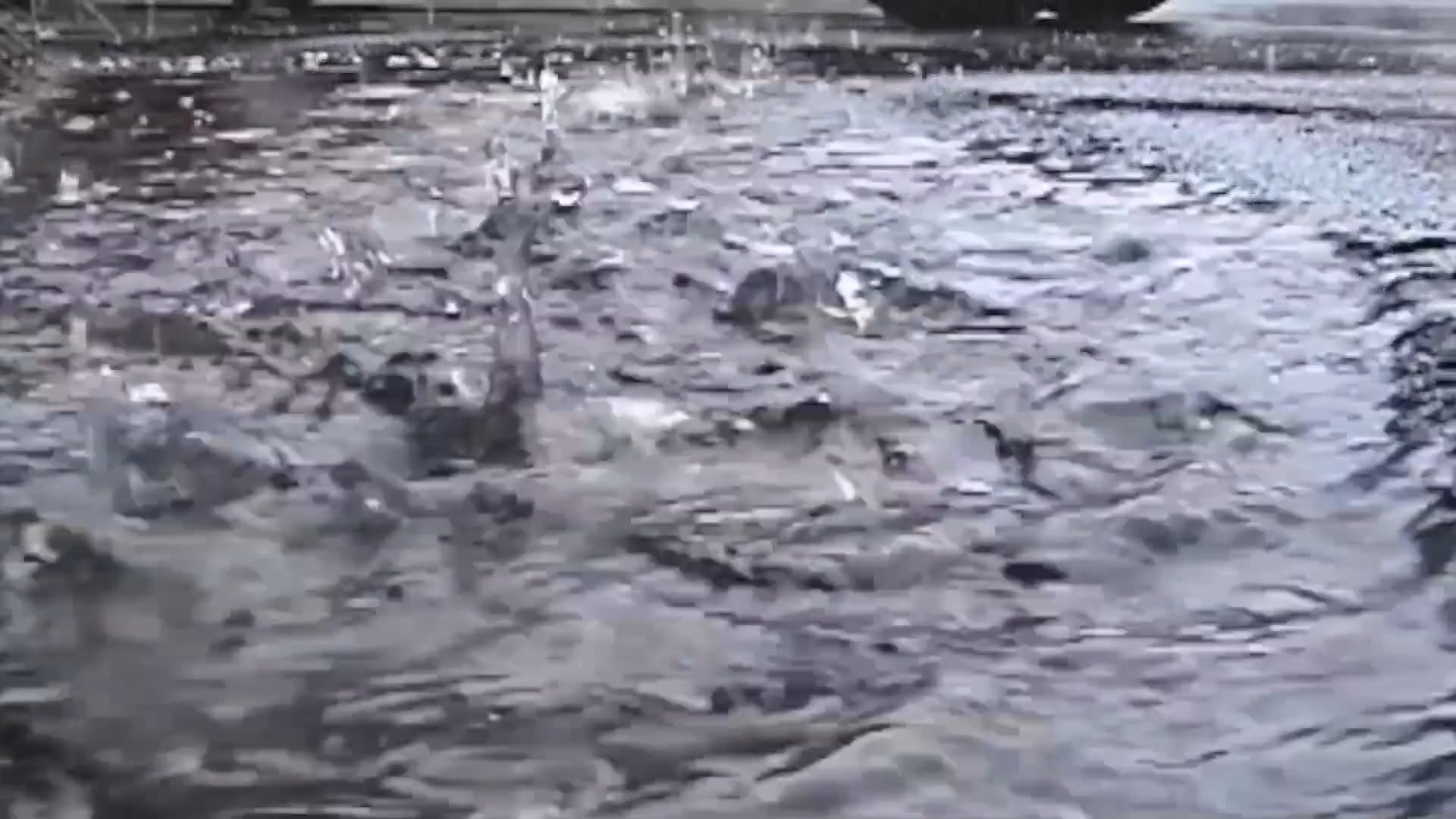 Movies to Watch on a Rainy Afternoon: "Hectic Knife"