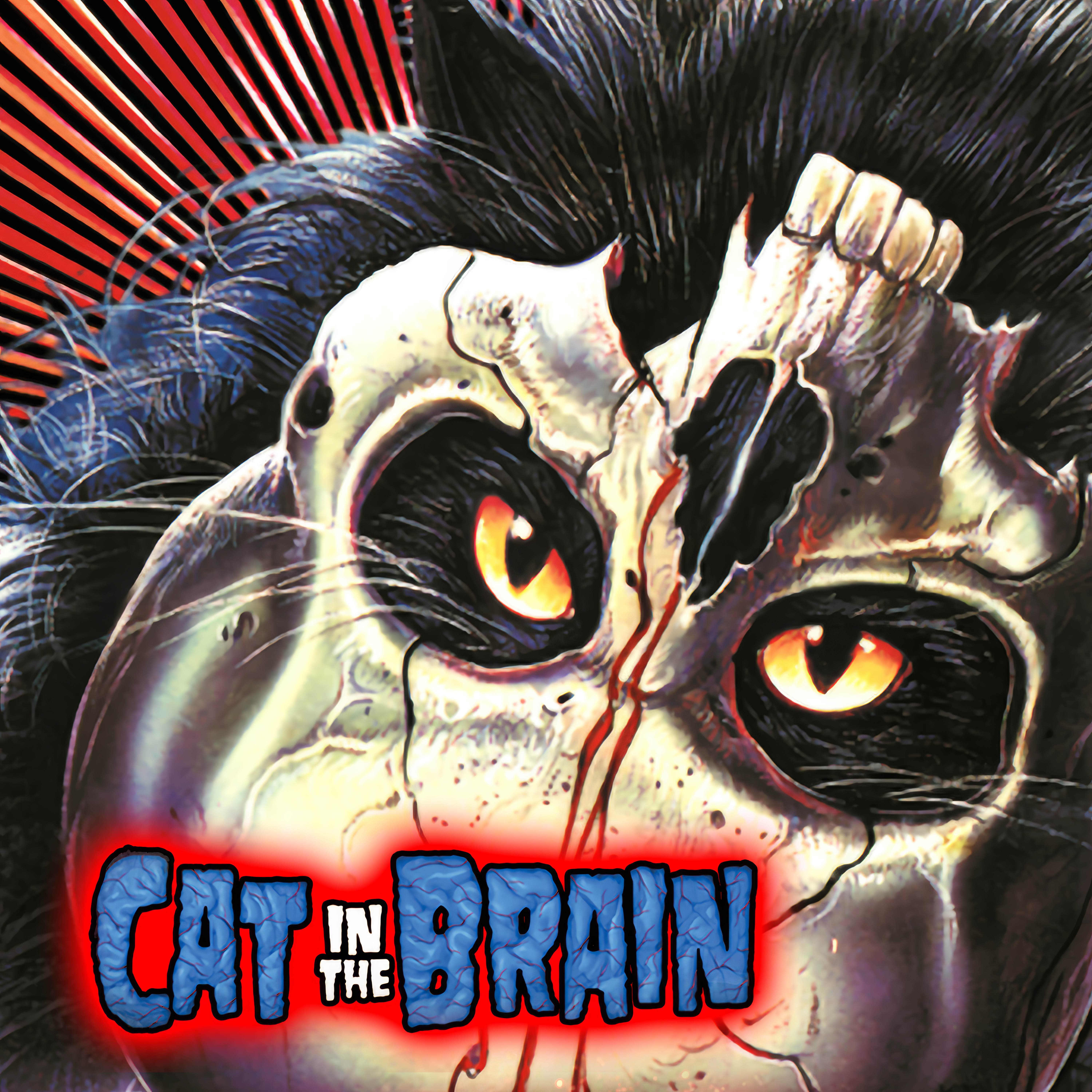 A Cat in the Brain