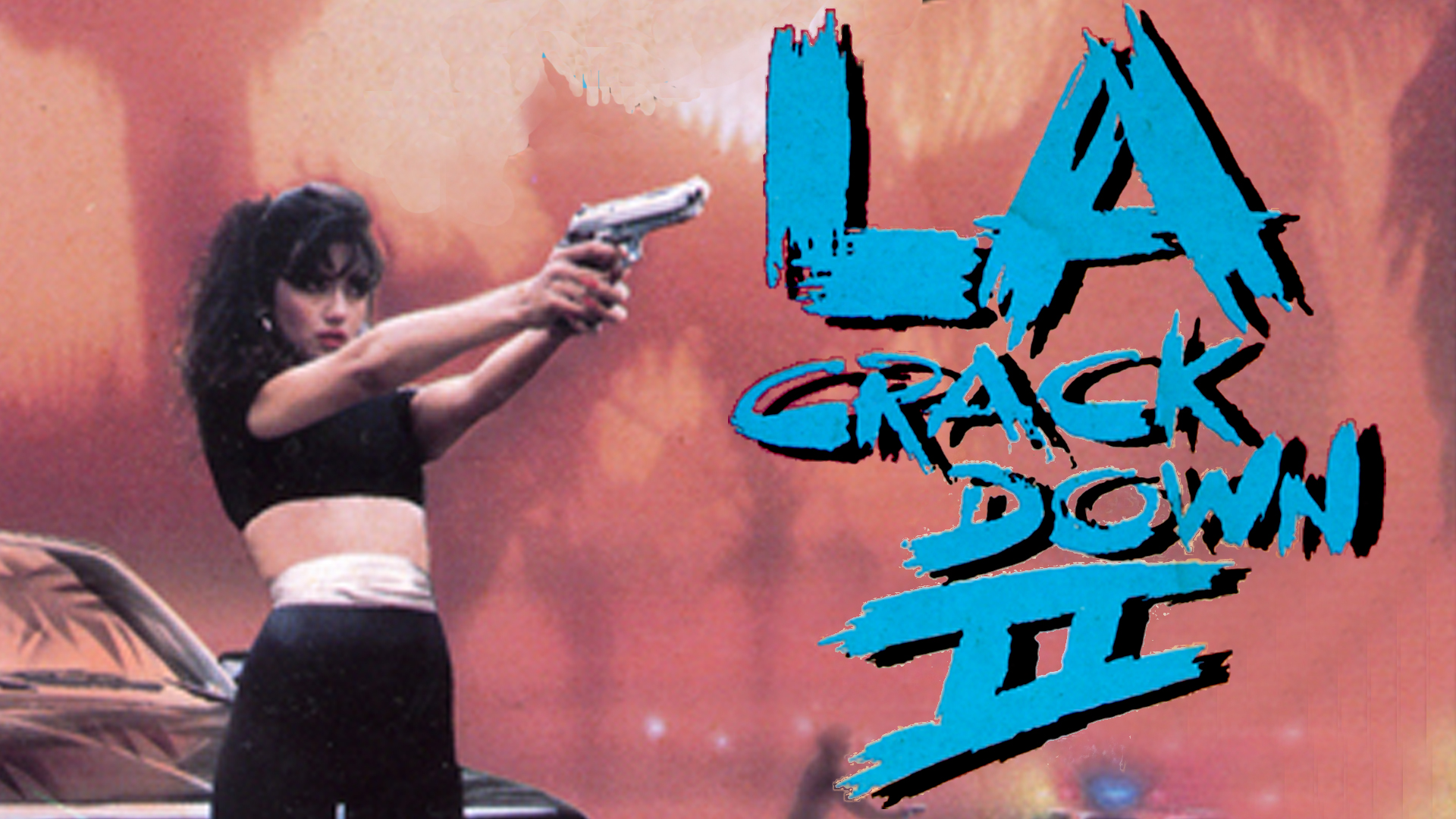 L.A. Crackdown 2