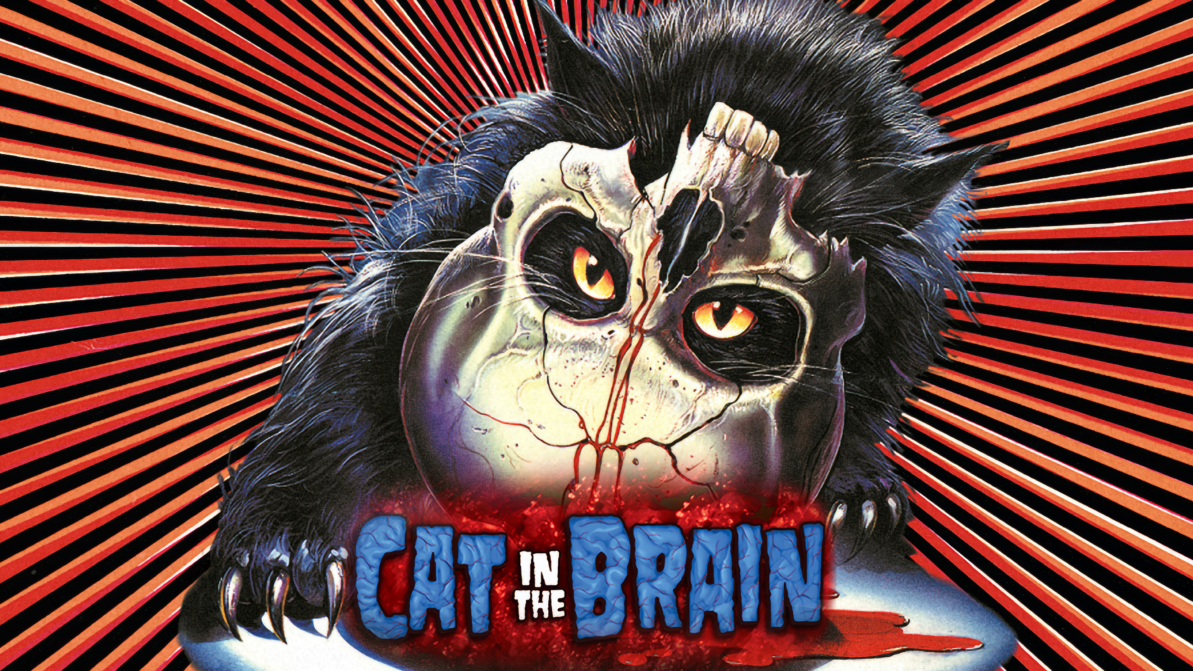 A Cat in the Brain