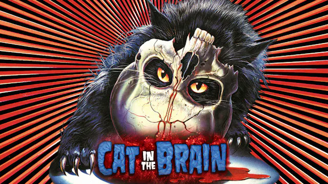 A Cat in the Brain