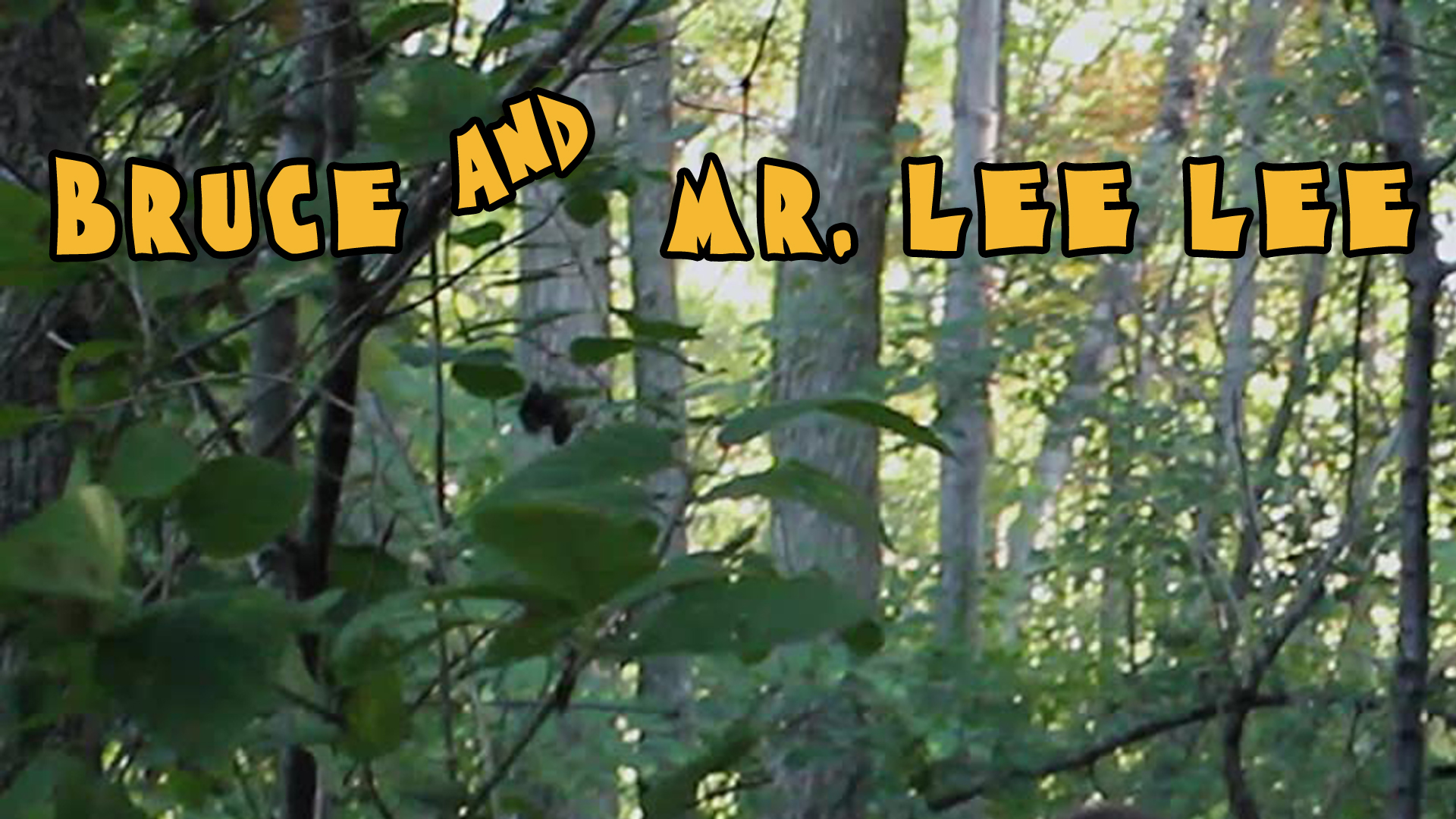 Lower Spirits: Bruce and Mr. Lee Lee