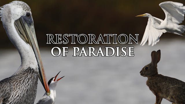 Restoration of Paradise