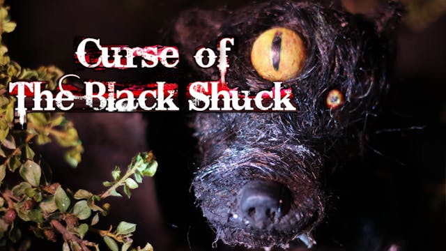 The Curse of the Black Shuck