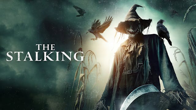 The Stalking