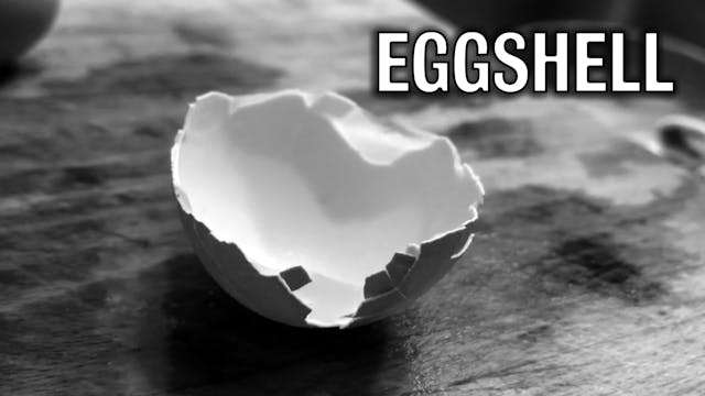 EGGSHELL