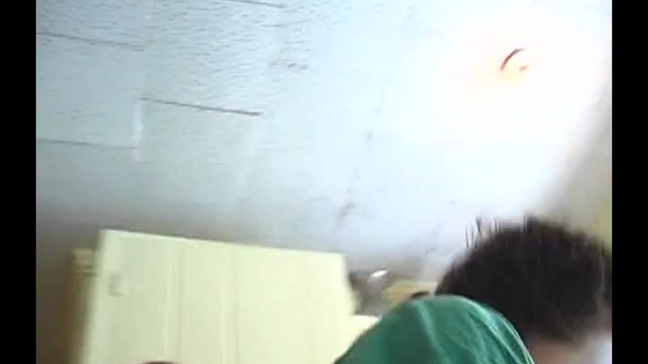 Meat Weed America Exposed