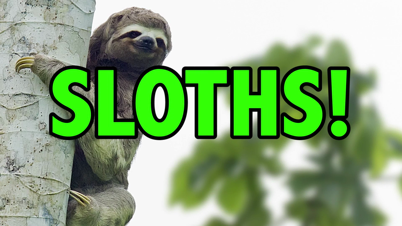 Episode 5: Wish Death Too!