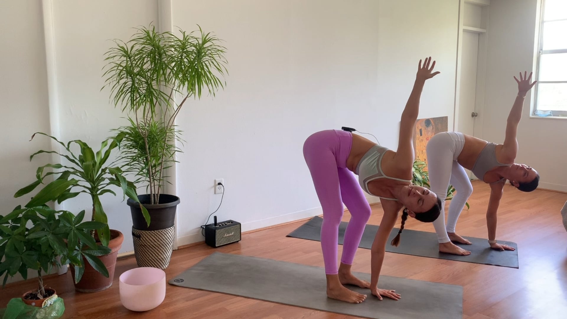 Tropical Vinyasa Video