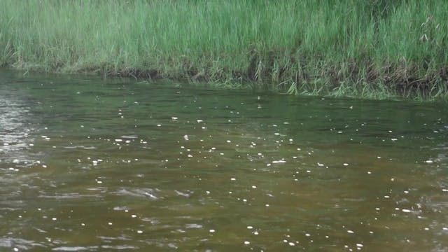 Beaverhead River: 4 Rivers Fishing