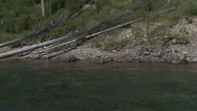 American Rivers: Middle Fork of the Flathead River Montana