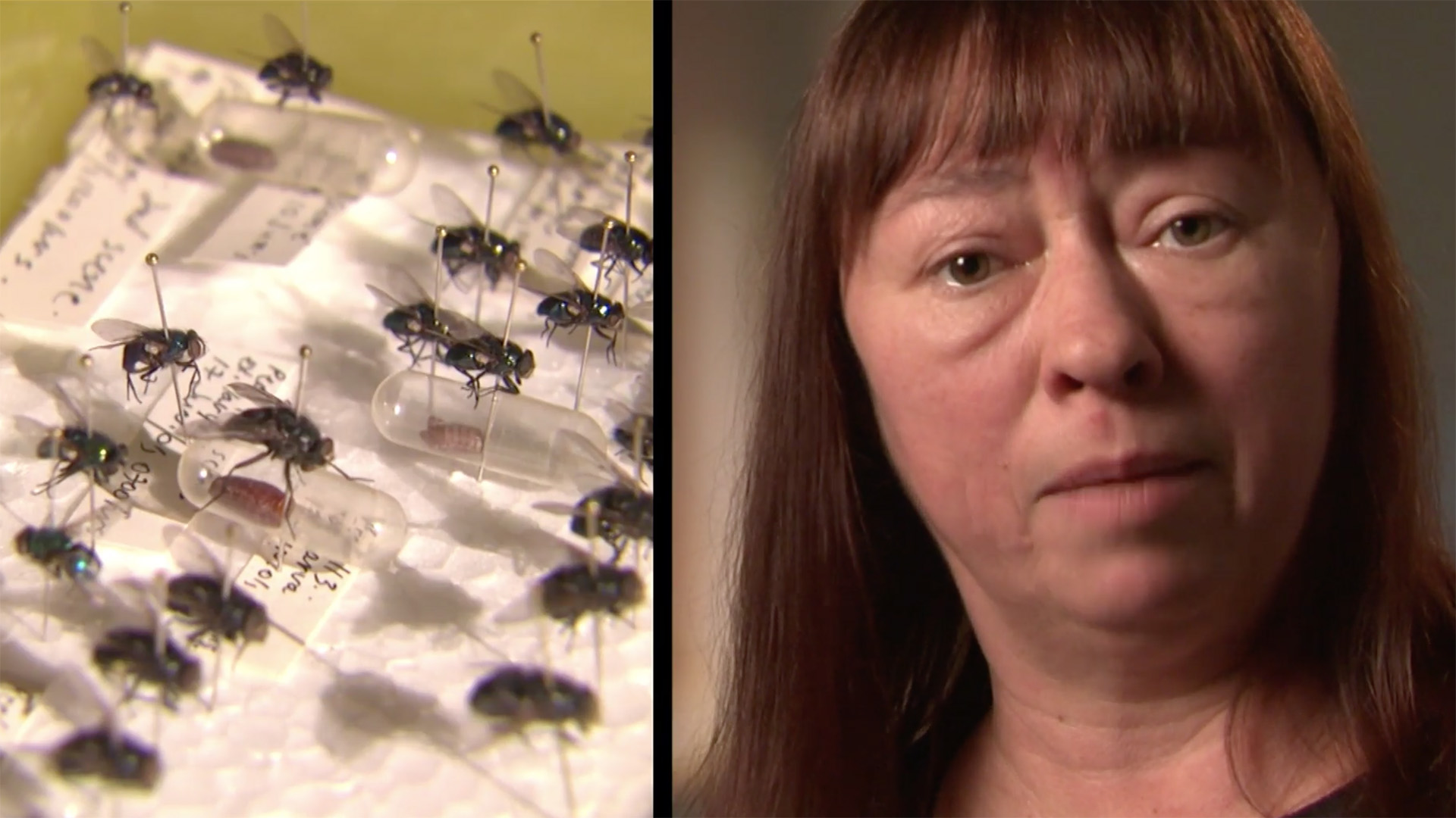 72 Hours True Crime S3:E2 - Pointing to Murder