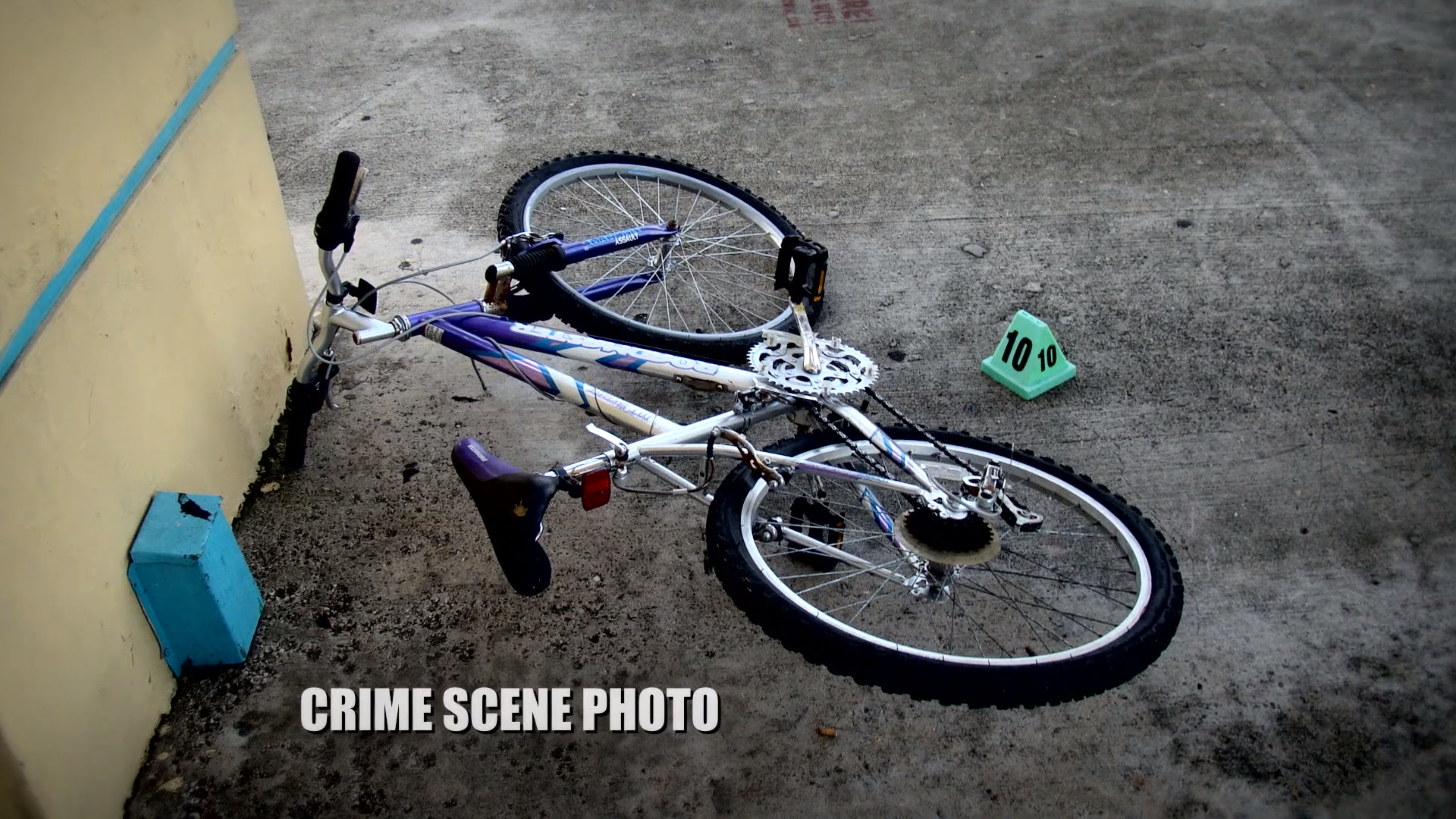 Miami: Unsolved Murders: Kareem Berry; Carol Taylor