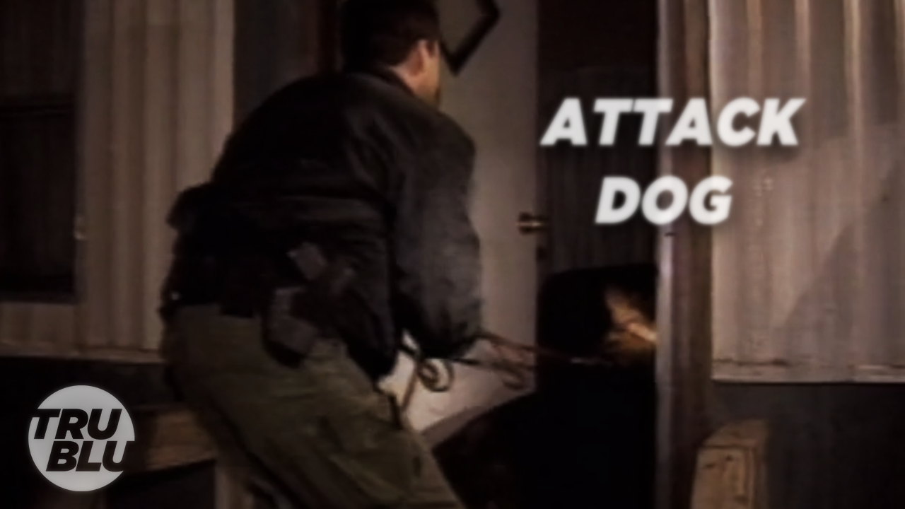 Bounty Hunters S5:E5 Attack Dog