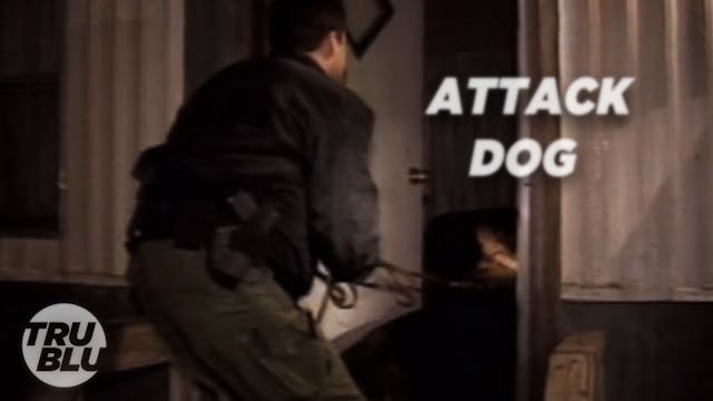 Bounty Hunters S5:E5 Attack Dog