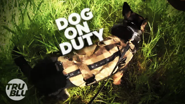 Ep. 9 - Cops Under Fire - Dogs on Duty