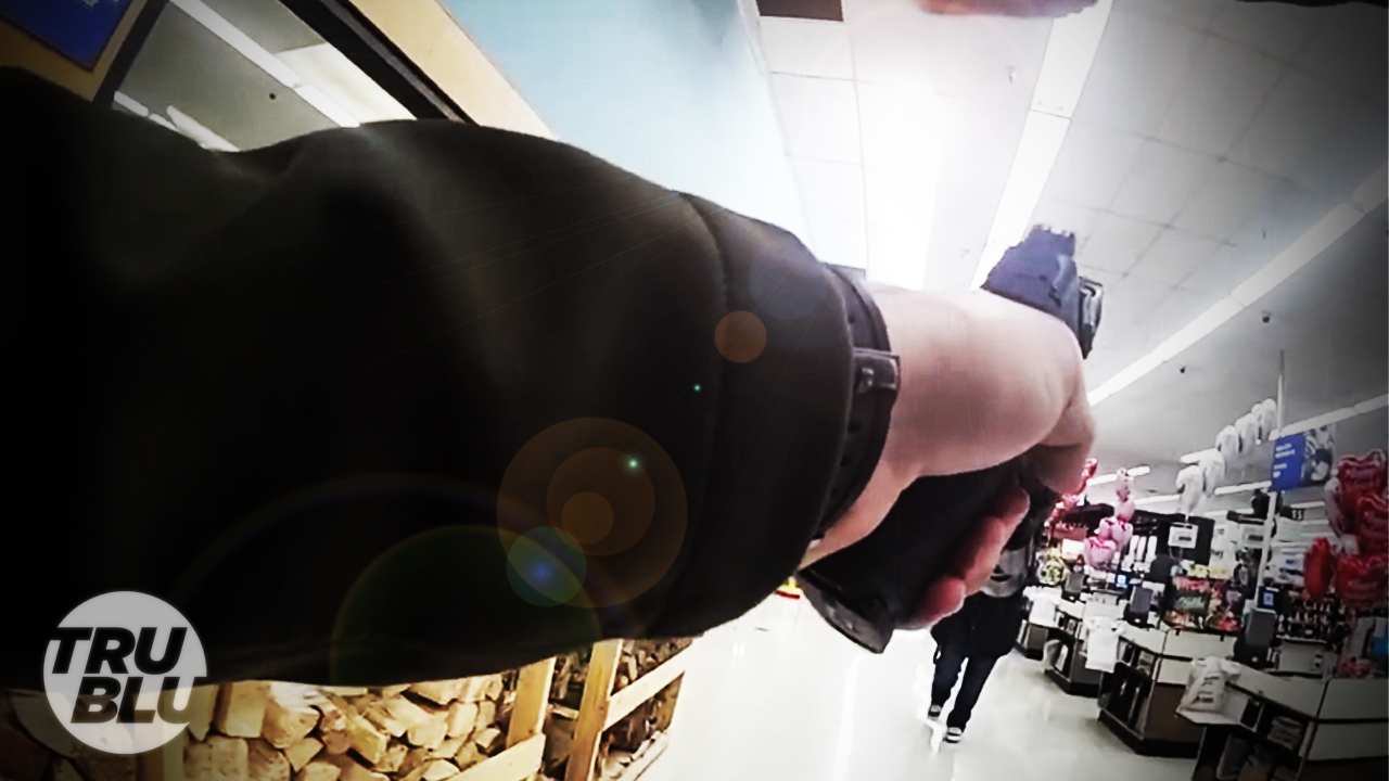 Ep. 3 - Cops Under Fire - Public Danger