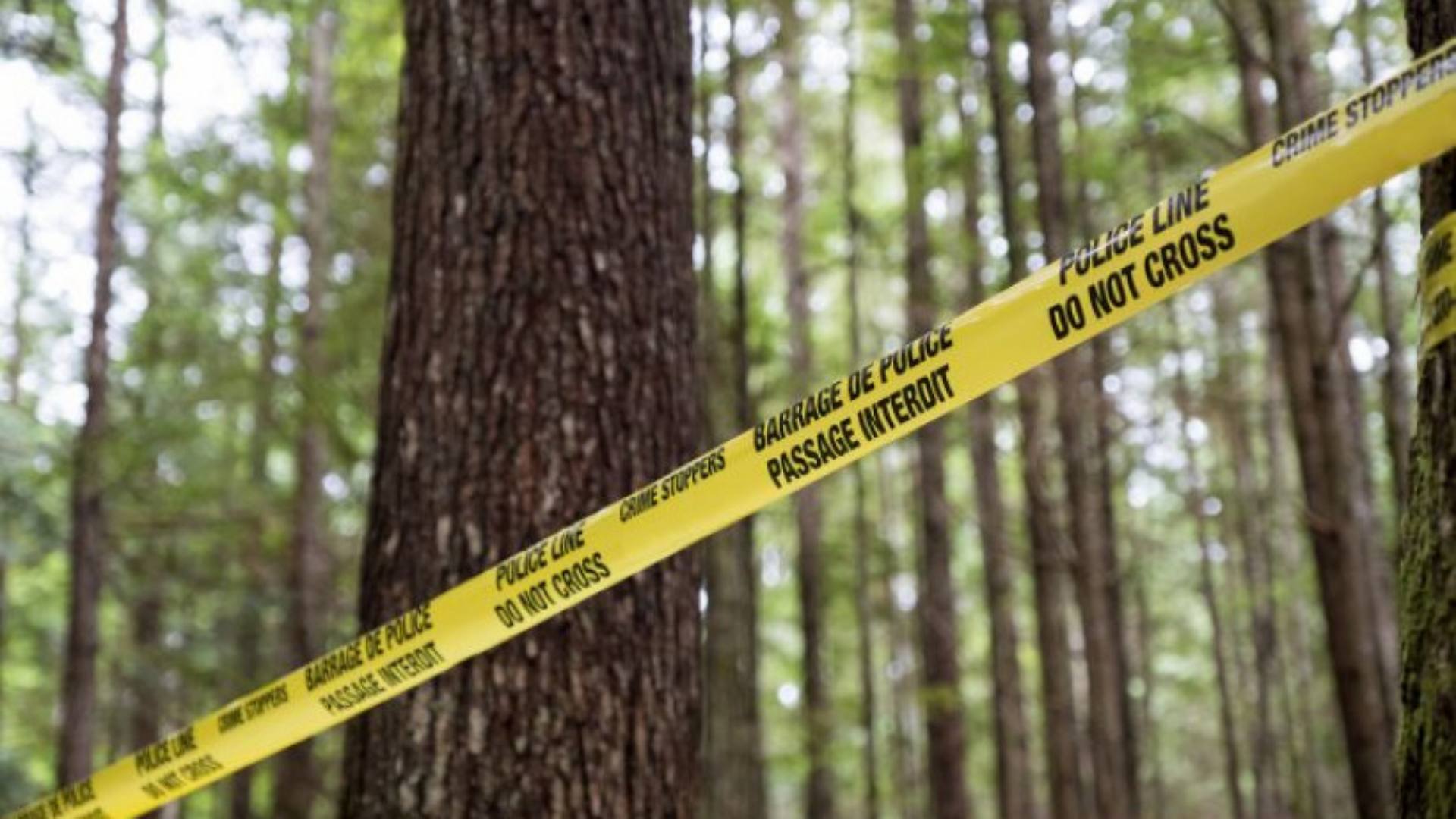 Detectives My Killer Case S1:E3 - Steve Wright: The Suffolk Strangler