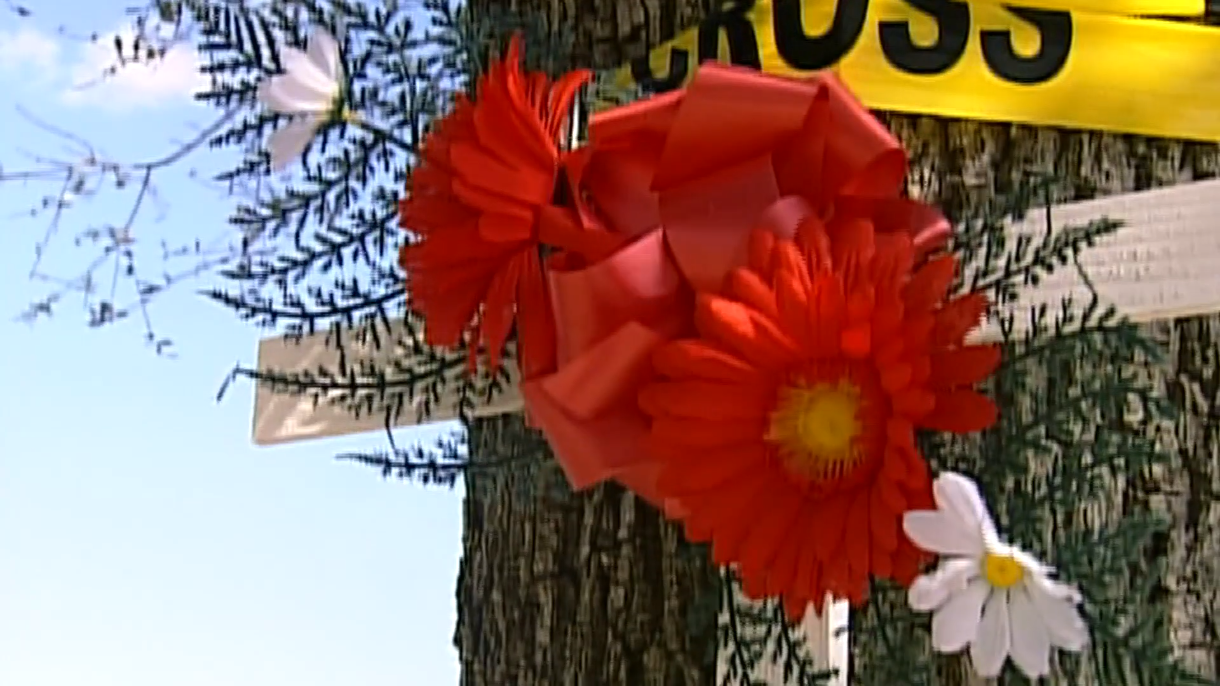 Miami: Unsolved Murders: Ladarius Frazer; Liberty City Massacre