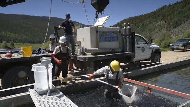 Colorado Parks and Wildlife