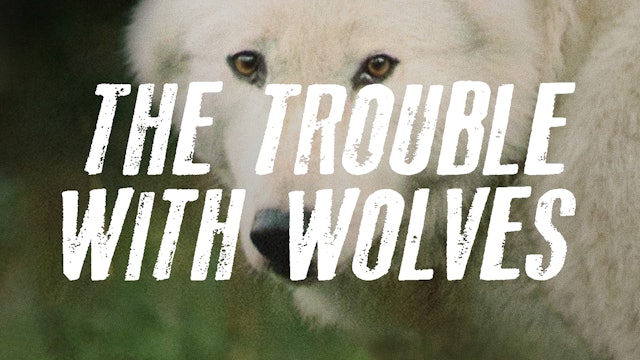 The Trouble with Wolves