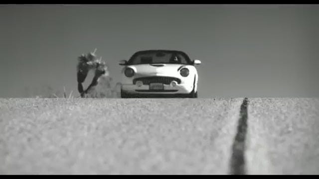 Jessica Andrews - There's More To Me ...