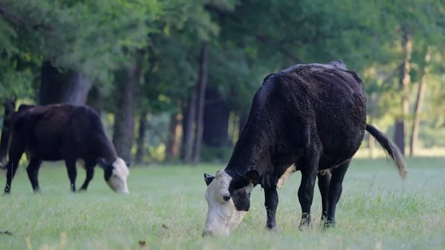 Garth Brooks: Oklahoma Ranch & Hidden...