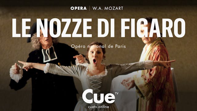 Le nozze di Figaro  (2010)