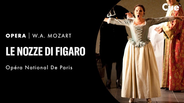 Le nozze di Figaro  (2010)