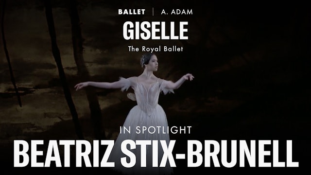 Highlight of  Beatriz Stix-Brunell 