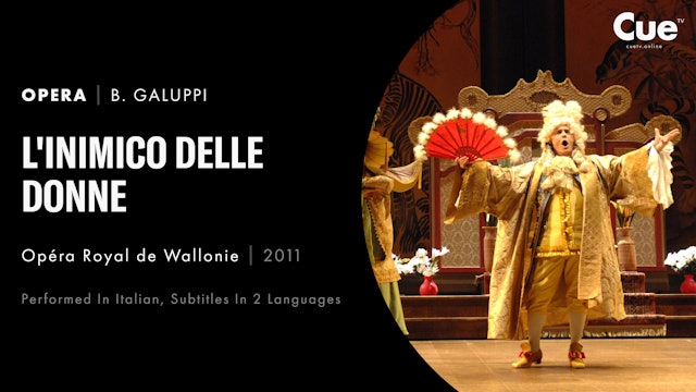 L'inimico delle donne (2011)