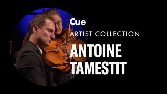 Antoine Tamestit