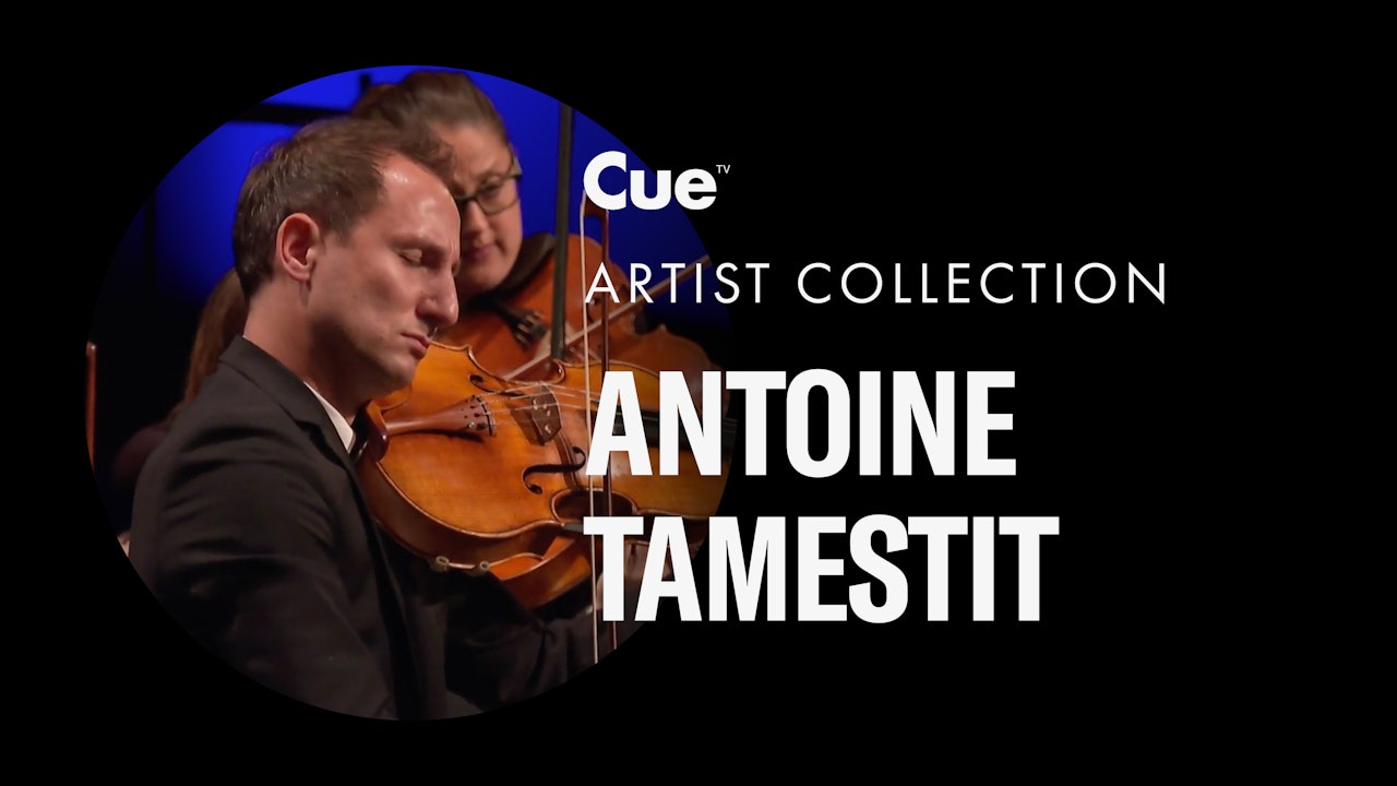 Antoine Tamestit