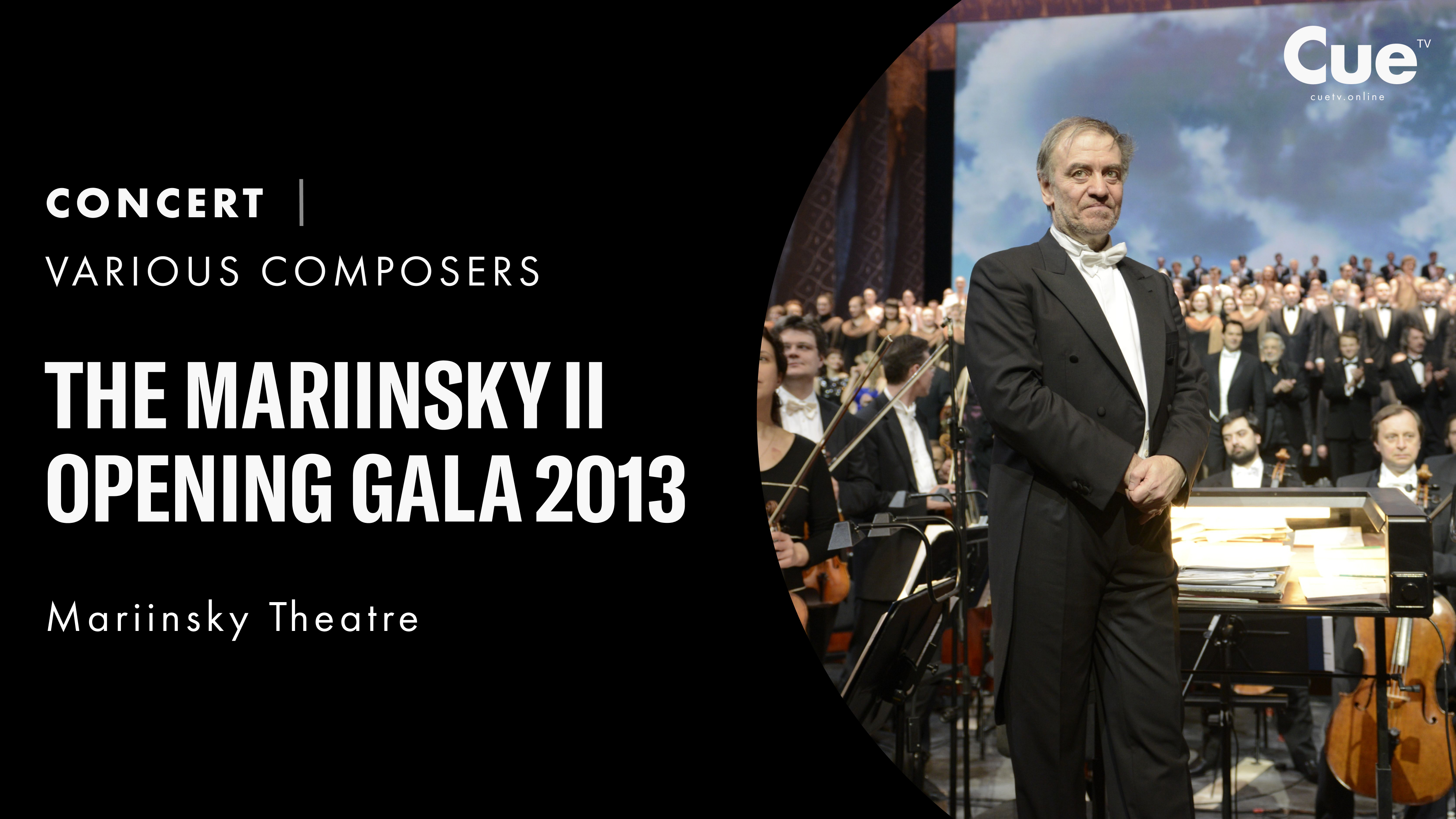 Mariinsky II Opening Gala 2013 [DVD]( 未使用品)　(shin