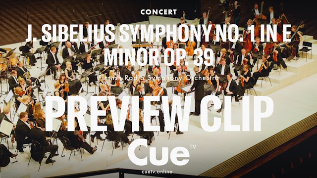 Sibelius Symphony No. 1 in E minor, Op. 39 - Preview clip