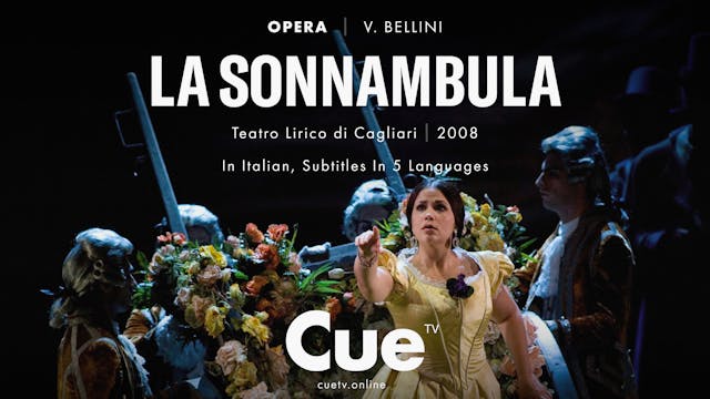 La sonnambula (2008)