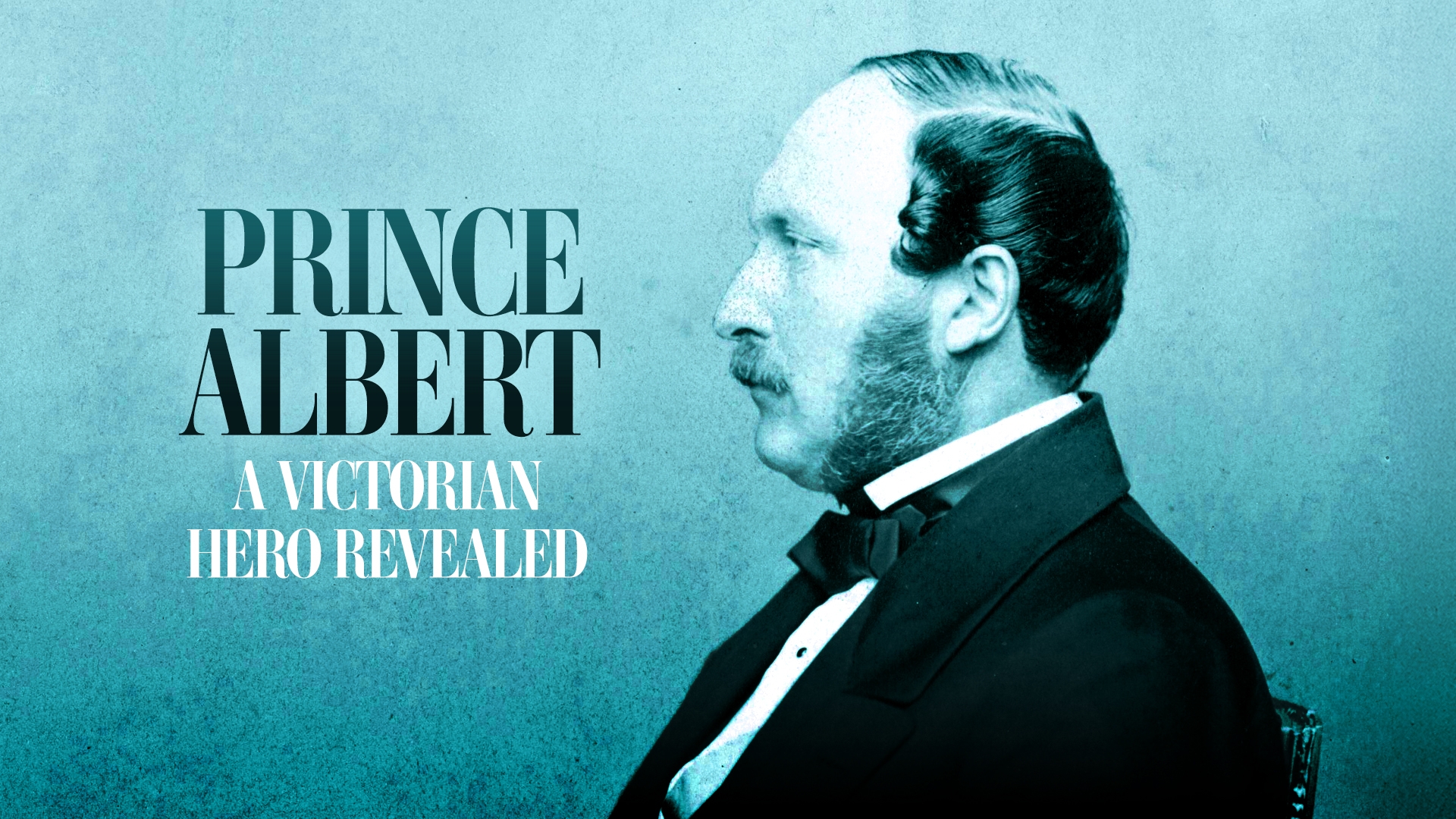Prince Albert: A Victorian Hero Revealed