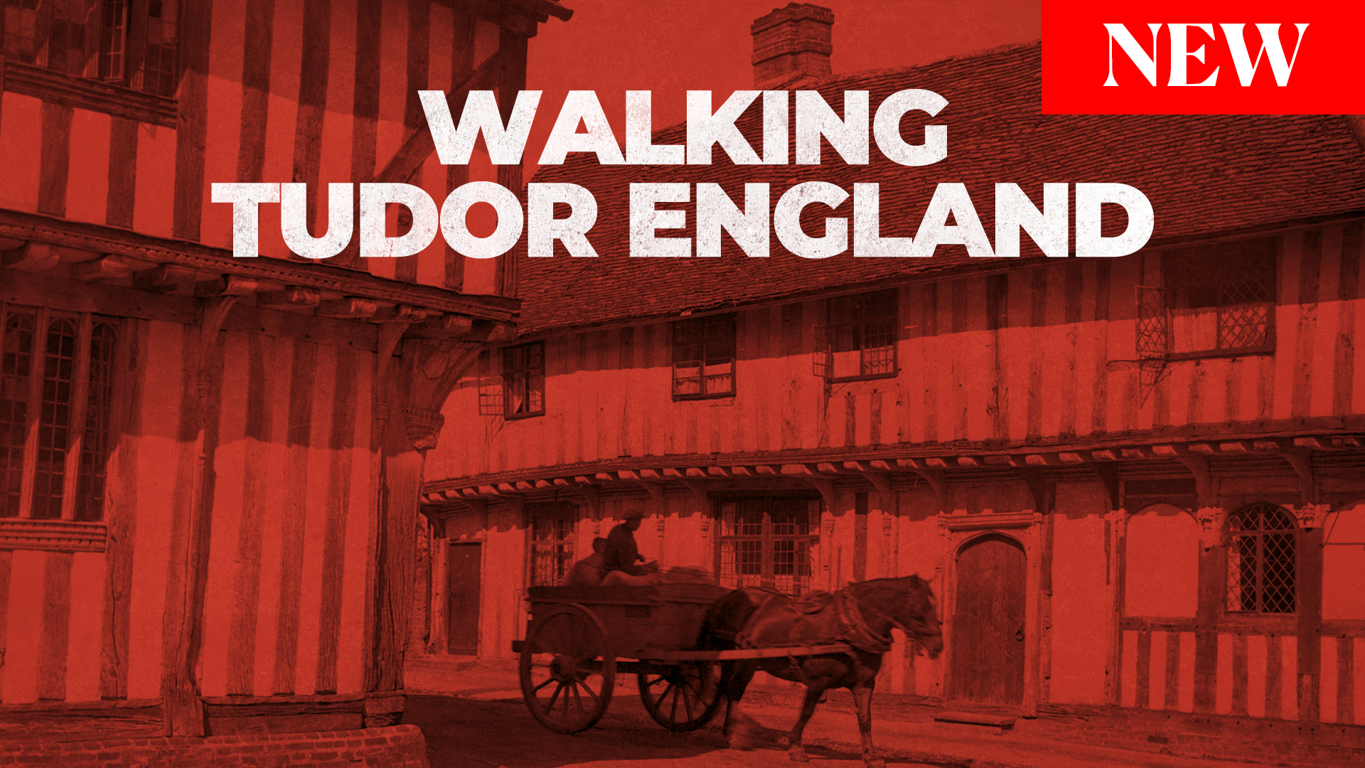 Walking Tudor England True Royalty TV