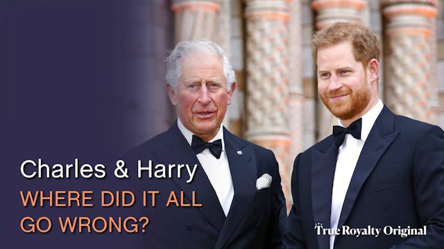 Charles & Harry: Where Did It All Go ...