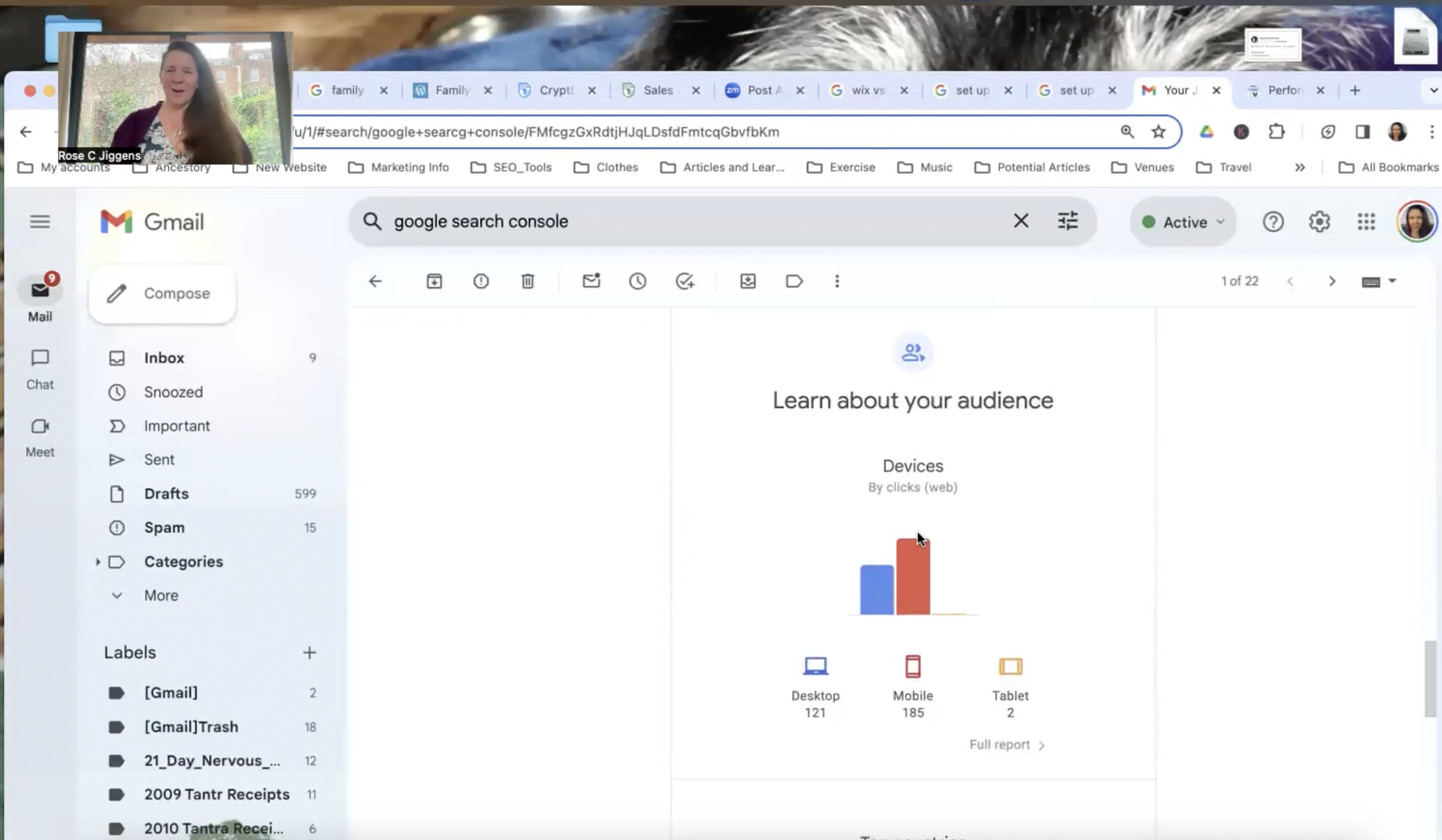 Google My Business and Search Console