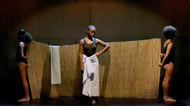 Rosinha and Other Wild Animals