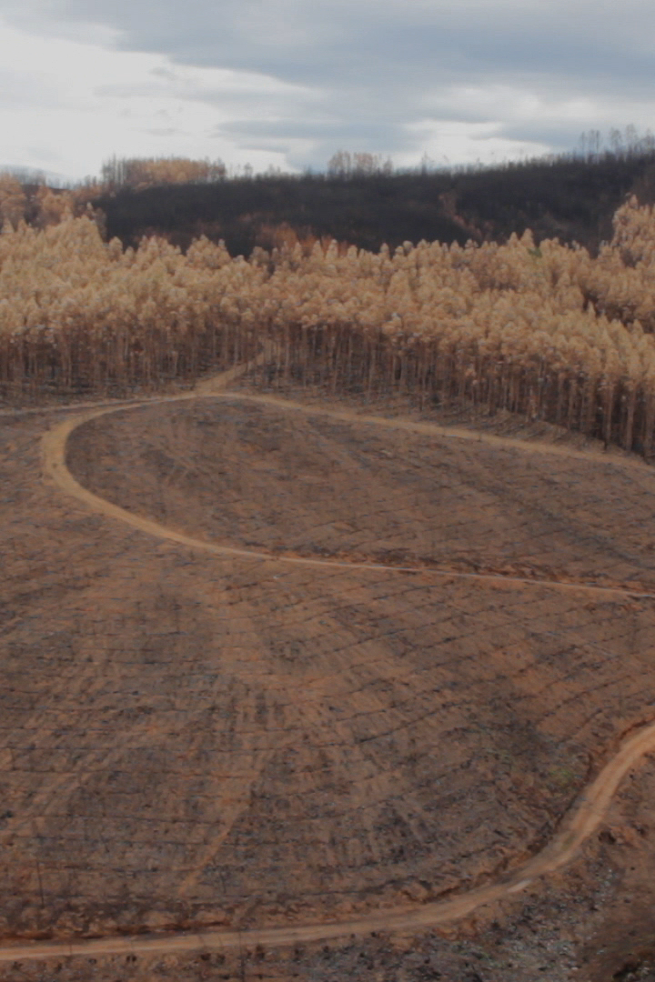 The Secret History of Aviation